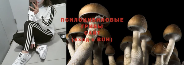 apvp Баксан
