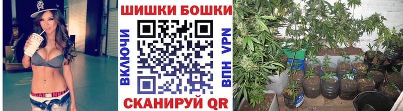 кракен   закладки  Харабали  Бошки марихуана White Widow 
